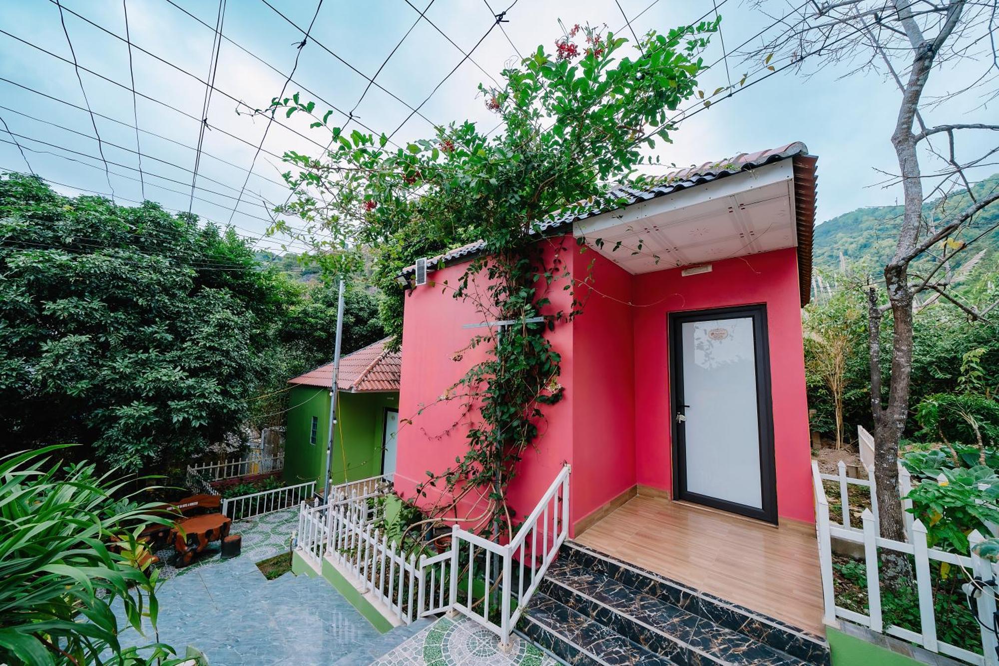 Windy Homestay Кат-Ба Экстерьер фото